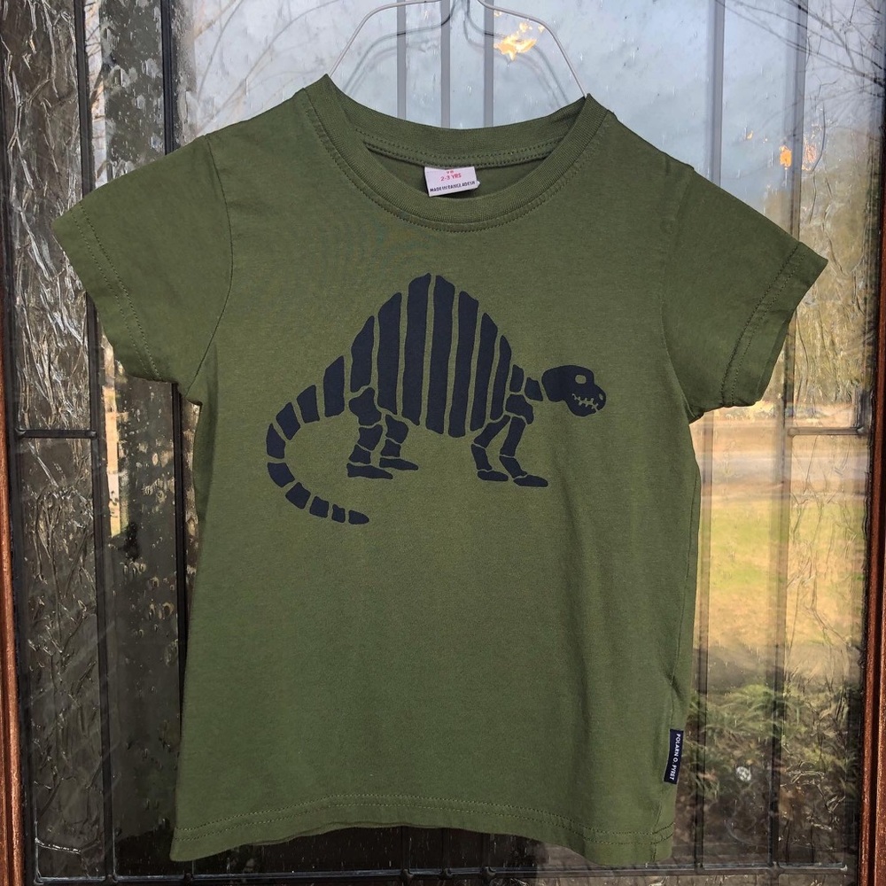 Polarn O Pyret Dino Tee | size 2-3yrs